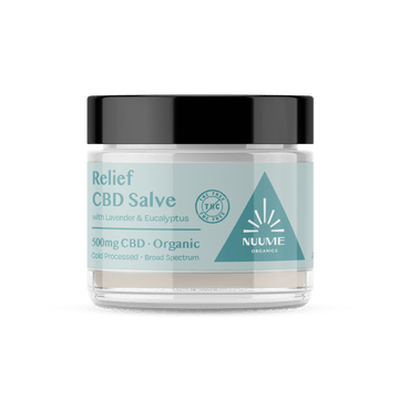 CBDオイル入りボディクリーム　Salve 500mg Shikai Products - CBD Salve | 500mg CBD